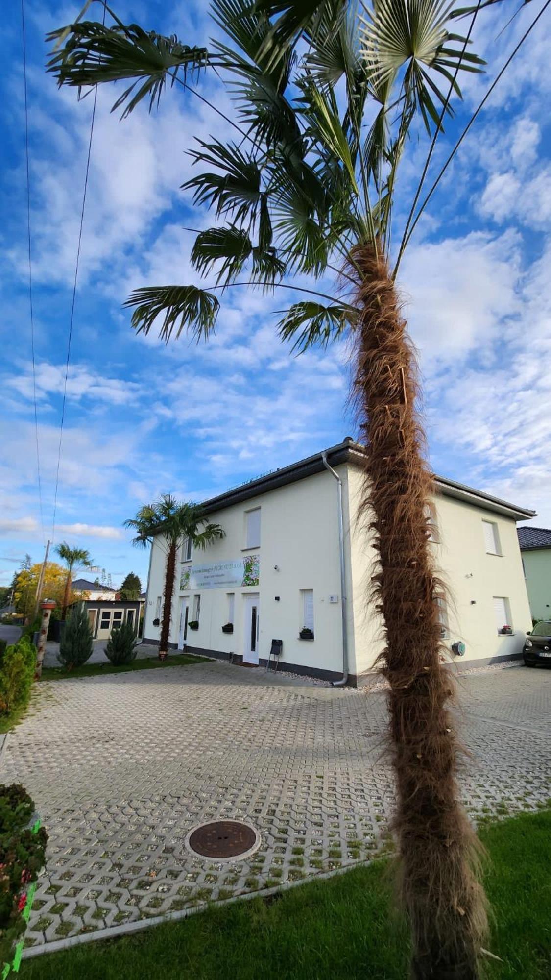 Im Grund 22, 22a, 22c Birkenstein * Hoppegarten